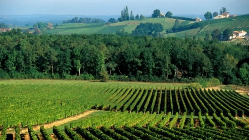 Vignoble bergeracois