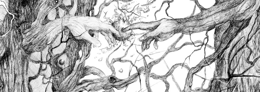 "Créations" de Craig Sofaly. Tous droits réservés